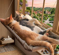 Hamaca para Gatos 5 en 1 — Cama de Ventana, Casita y Estructura de Escalada (hasta 20 kg)